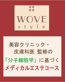 wove styleのロゴ
